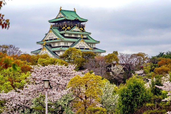 CVETOČA JAPONSKA IN EXPO