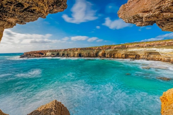 SEVERNI CIPER IZ LJUBLJANE